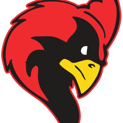 AR CARDINAL 24 RC Thumbnail