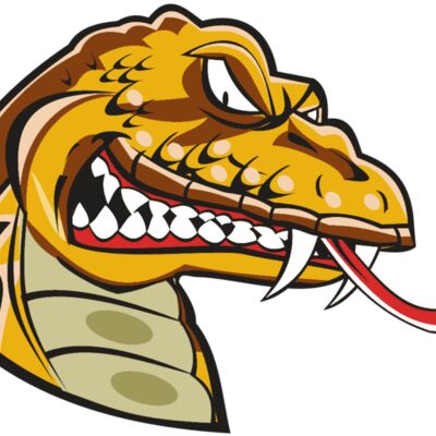 SNAKE HD0504 RQC Thumbnail